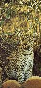 unknow artist Misstanksamt and furiost am guarding leoparden sits loot china oil painting artist